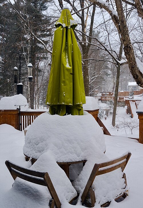 File:Not patio weather (46168854584).jpg