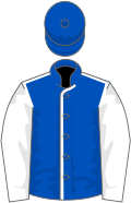 Royal blue, white seams and sleeves