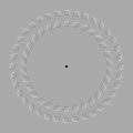 Pinna-Brelstaff illusion: the two circles seem to move when the viewer's head is moving forwards and backwards while looking at the black dot.