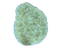 Thumbnail for version as of 10:14, 22 May 2023
