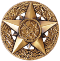 Chief Professional Officer Badge