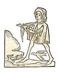 Book V, chapter 33. Celidonius – Stone in the stomac of swallows