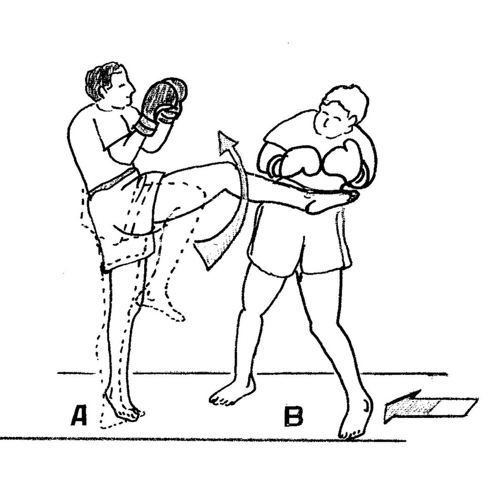 File:Circulaire10.jpg