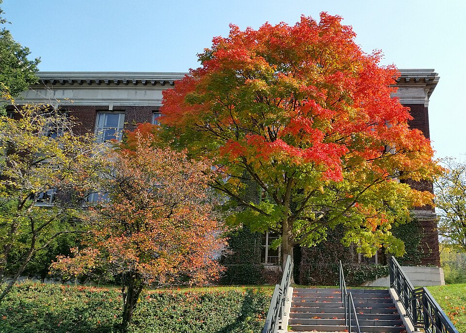File:ESF-Bray-Hall-Autumn-2016.jpg