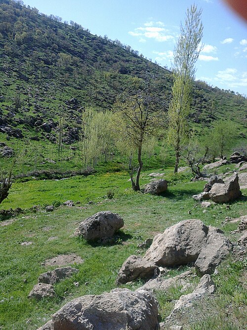 File:Garor3.jpg