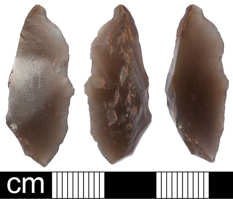 File:Late Mesolithic tranchet flake (FindID 433078).jpg