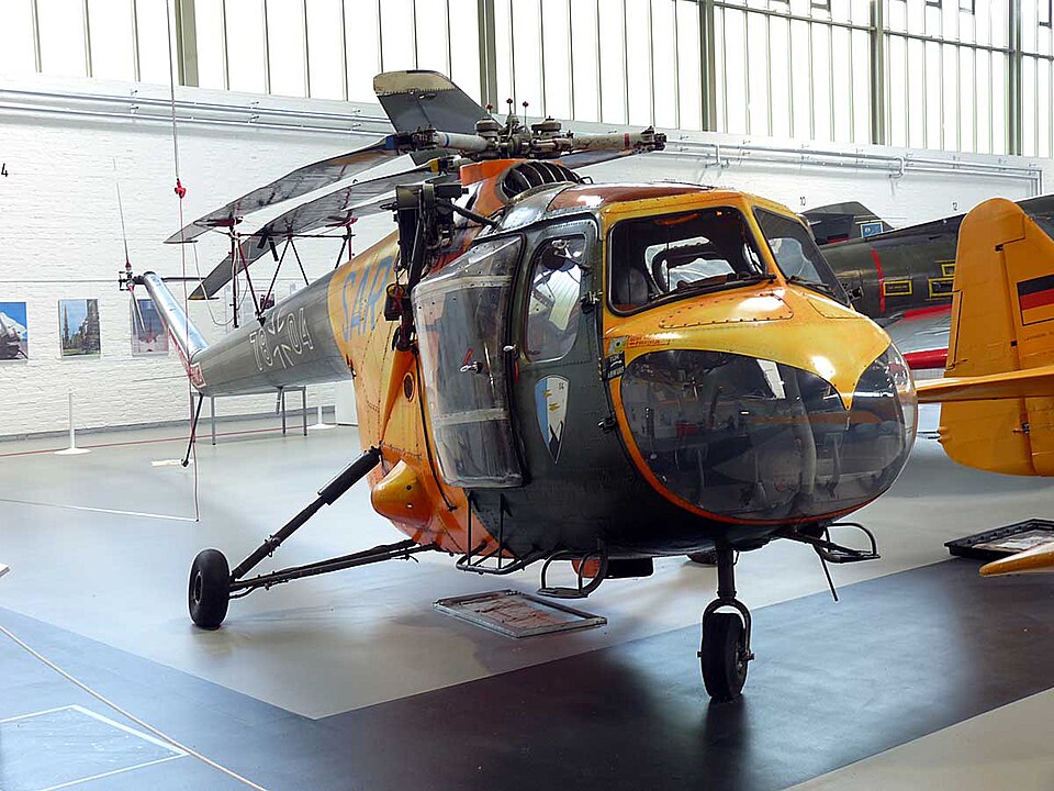 File:Sycamore Gatow1.jpg