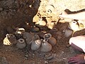 Thumbnail for version as of 09:25, 15 December 2008
