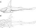 Thumbnail for version as of 01:58, 19 January 2023