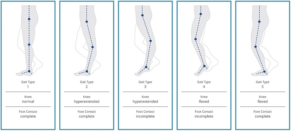 File:Amsterdam Gait Classification gb.jpg