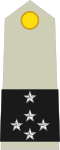 Général d'armée(French Army)