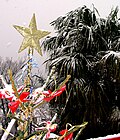 Christmas star in Croatia
