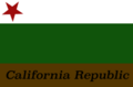 An early Republic flag, per description