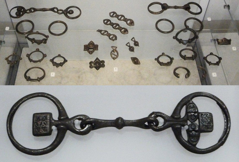 File:Harness1.png