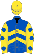 Royal blue, yellow chevrons, yellow sleeves, royal blue spots, yellow cap
