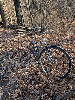 Abandoned Bike I Found in a Forest