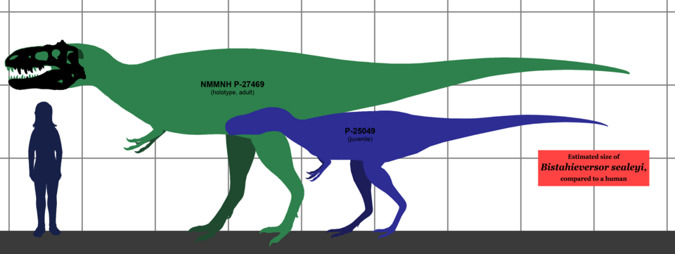 File:Bistahieversor SIZE.png