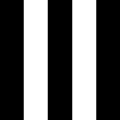 Thumbnail for version as of 20:47, 27 November 2010