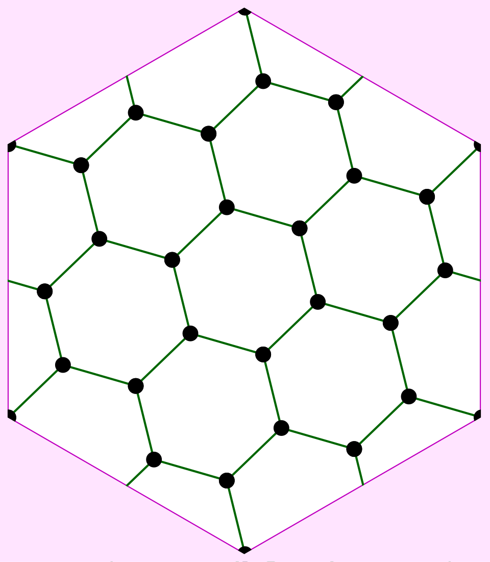 File:F026 graph embedded in torus.svg