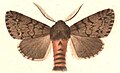 Thumbnail for version as of 16:13, 18 December 2013