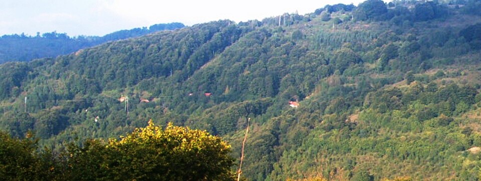 File:Битврђа - Bitvrdja.jpg