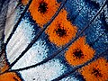 Thumbnail for version as of 08:42, 31 December 2015
