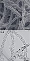 Thumbnail for version as of 00:16, 23 October 2015