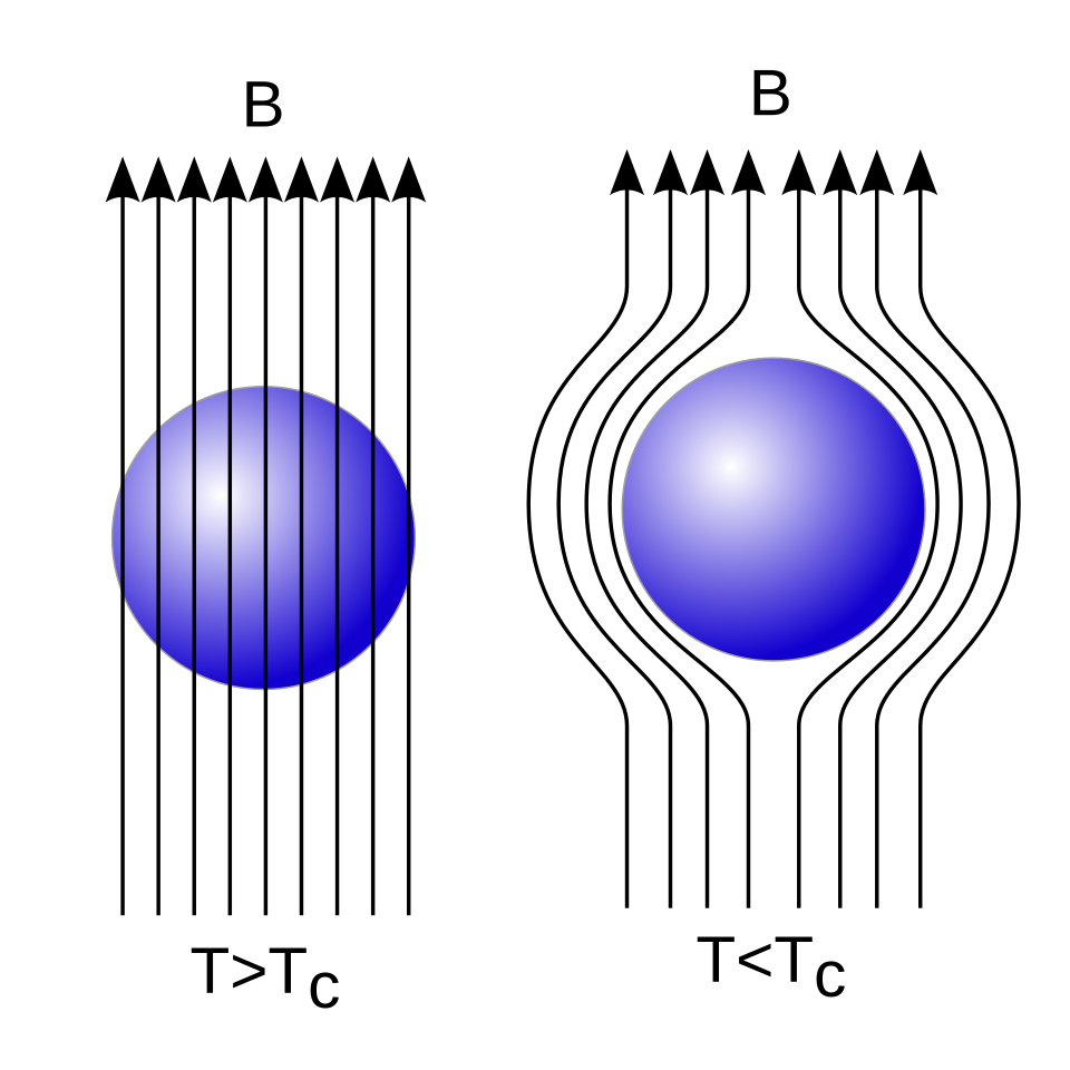 File:EfektMeisnera.svg