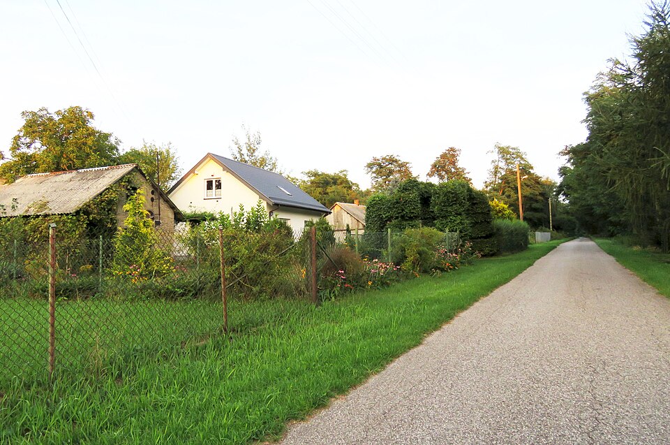 File:Nowy Łajszczew, foto 02.jpg