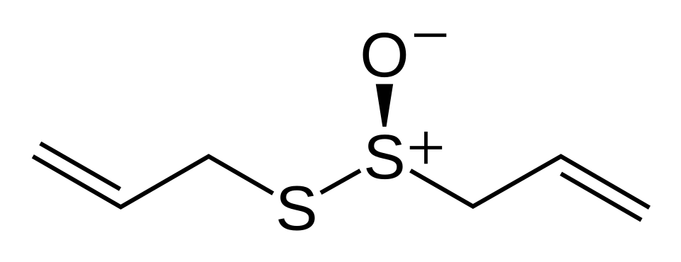 File:R-allicin-2D-skeletal.svg