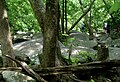 Rocks on French Creek