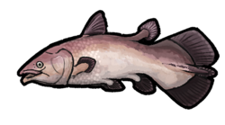 Ticinepomis peyeri