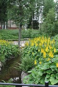 Park Aarrepuisto