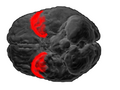Thumbnail for version as of 16:00, 7 October 2009