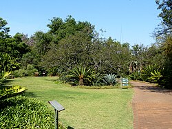 Pretoria National Botanical Gardens