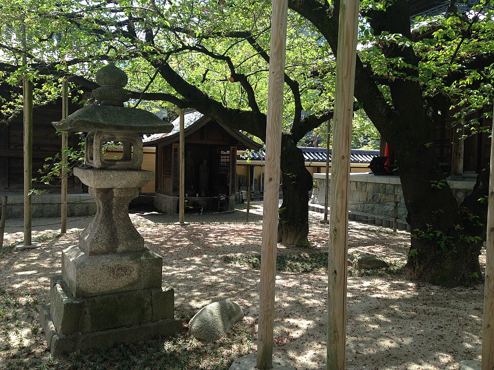 File:Cherry trees in Tochoji Temple.JPG