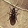 Stub icon