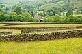 Dry stone walls in the Yorkshire Dales