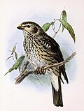 Thumbnail for version as of 17:31, 21 December 2014