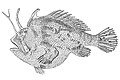 Thumbnail for version as of 10:44, 17 September 2014