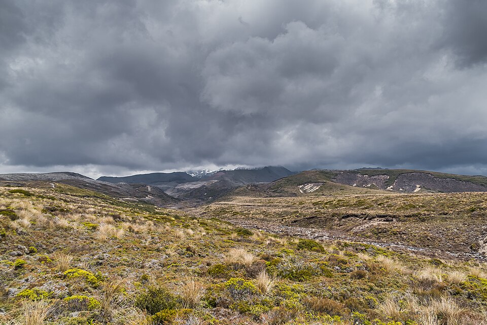 File:Landscape in Tongariro National Park 10.jpg