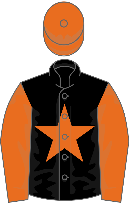 File:Owner The DPRP Aces Partnership.svg