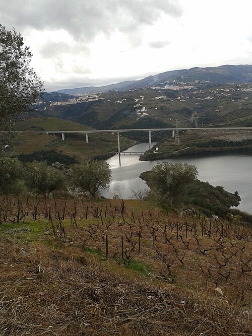 File:Rio Balsemão (foz).jpg