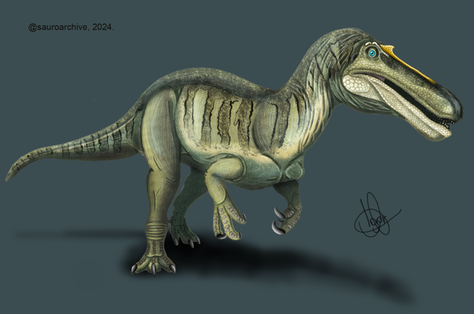File:Suchomimus paleoart (by Sauroarchive, 2023).png
