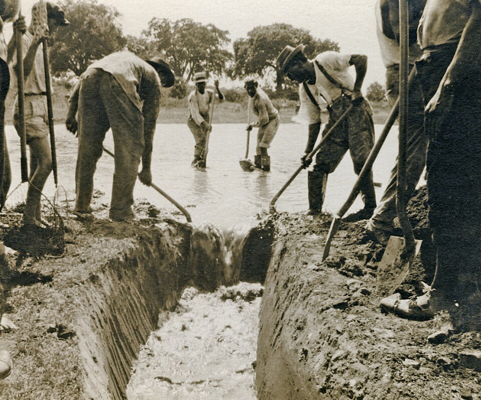 File:Vector Control.jpg