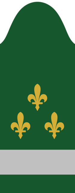 File:Warrant-officer---Army-of-the-Republic-of-Bosnia-and-Herzegovina-1992t.png