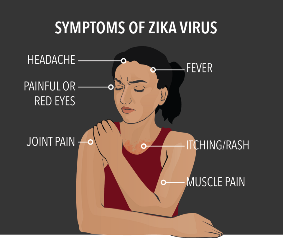 File:ZIKA.png