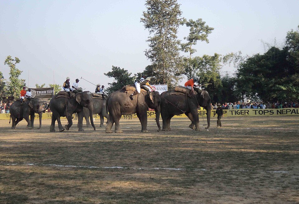 File:Hattipolo.jpg