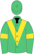 Emerald green, yellow chevron and armlets