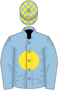 Light blue, yellow disc, checked cap